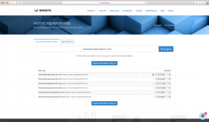 Alan adı sorgulama ve satın alma