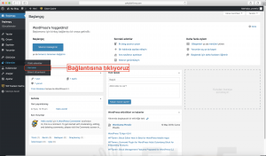 Wordpress all in seo eklentisi kurulumu yeni ekle bağlantısı