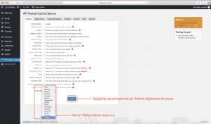 Wordpress wp fastest cache turkce yap