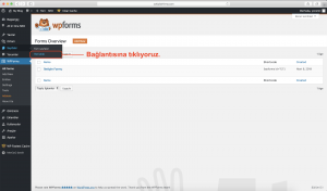 wp forms iletişim sayfası bağlantısı yeni sayfa ekle