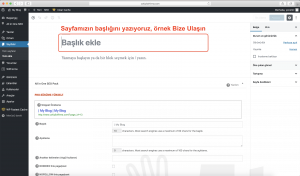 wp forms iletişim sayfası başlık bize ulaşın